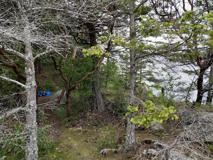 Lummi Island Campground 9