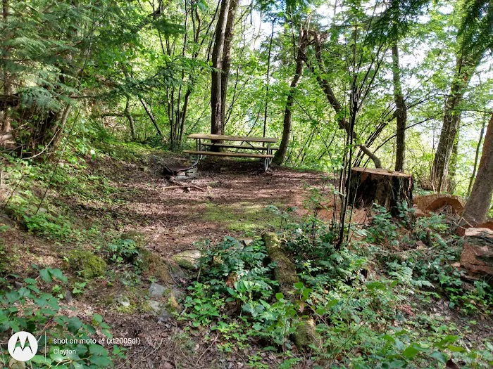 Lummi Island Campground 3