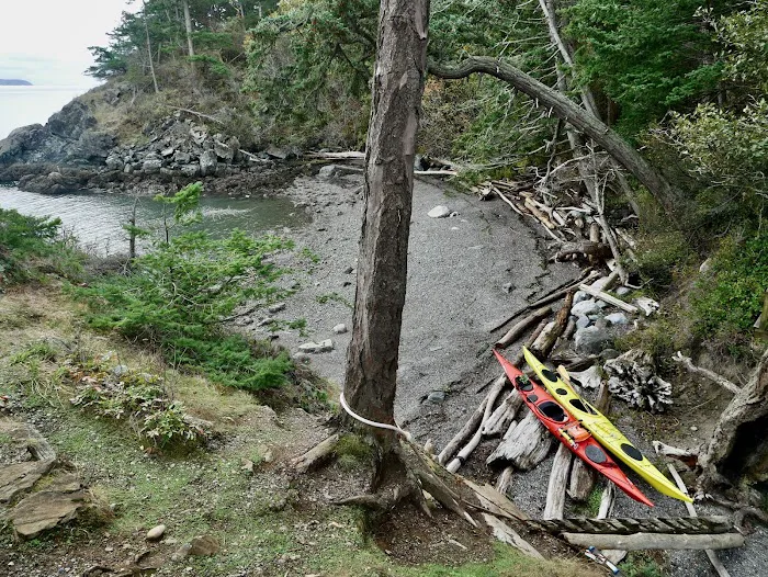 Lummi Island Campground 1