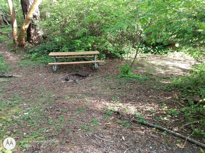 Lummi Island Campground 6
