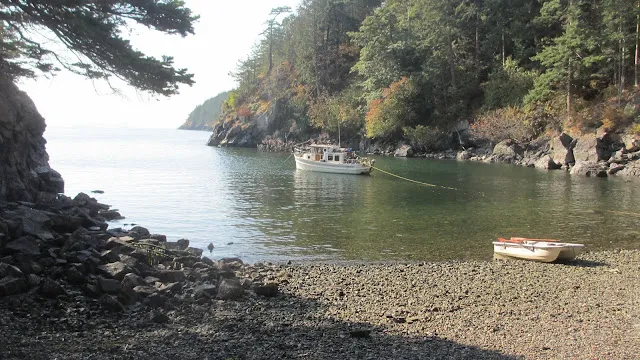 Lummi Island Campground 0