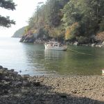 Lummi Island Campground