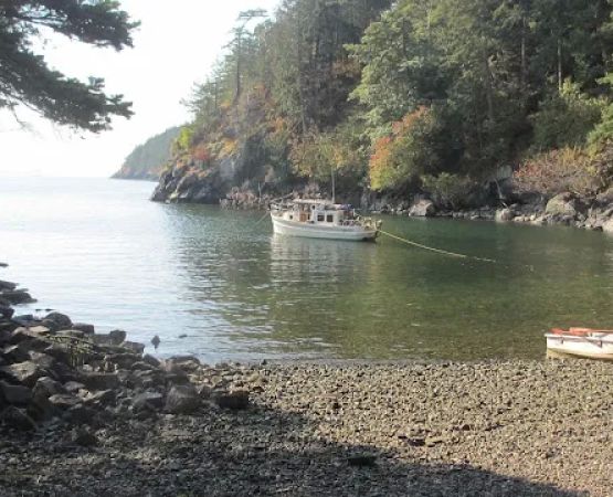 Lummi Island Campground
