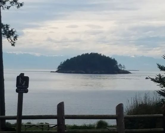 Bowman Bay Campground