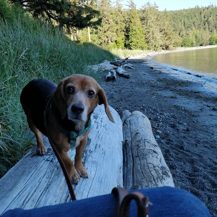 Bowman Bay Campground 6