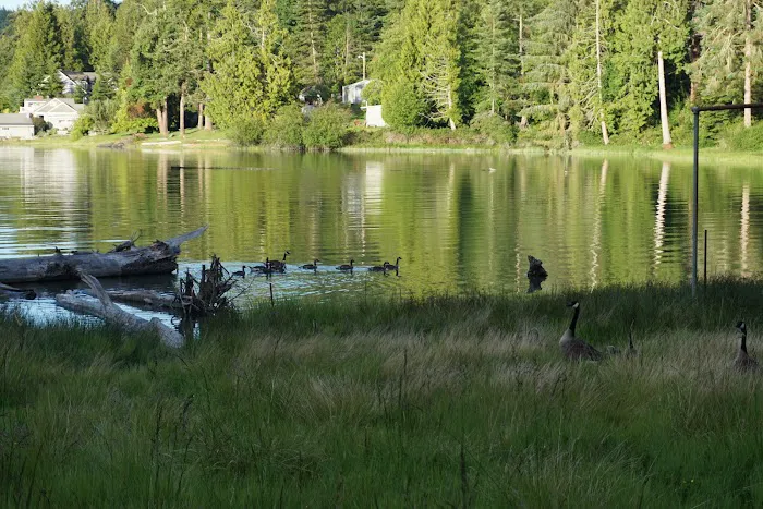Cornet Bay Resident Group Camp 3