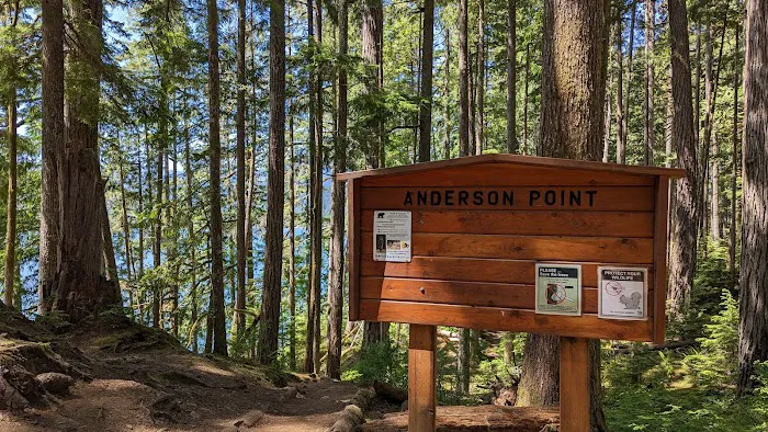 Anderson Point 3