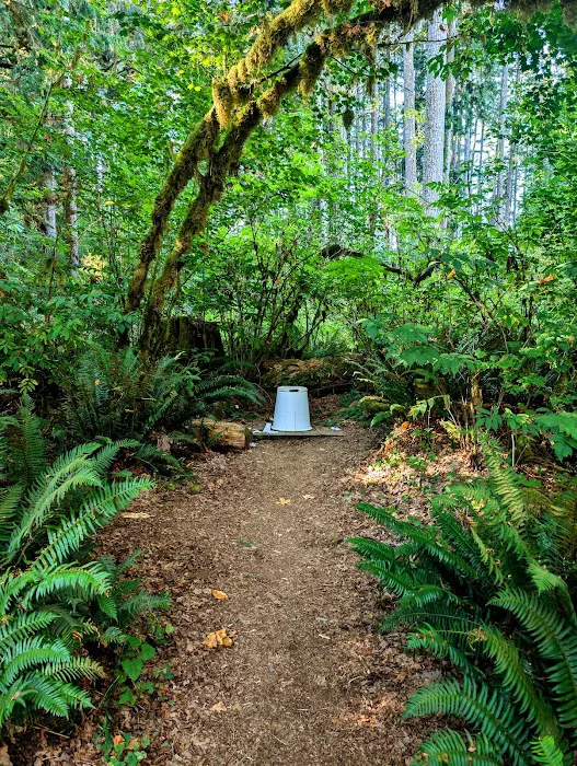 Anderson Point 5
