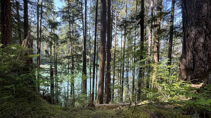 Anderson Point 7
