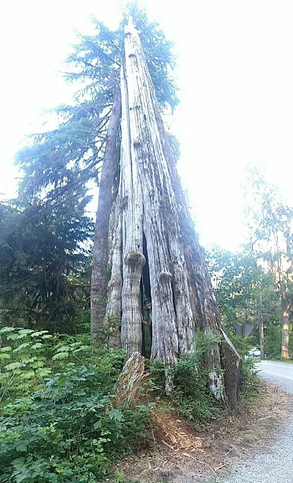 Bayview Campground 1