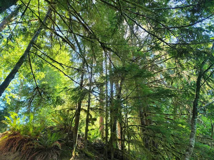 Bayview North Campground 6