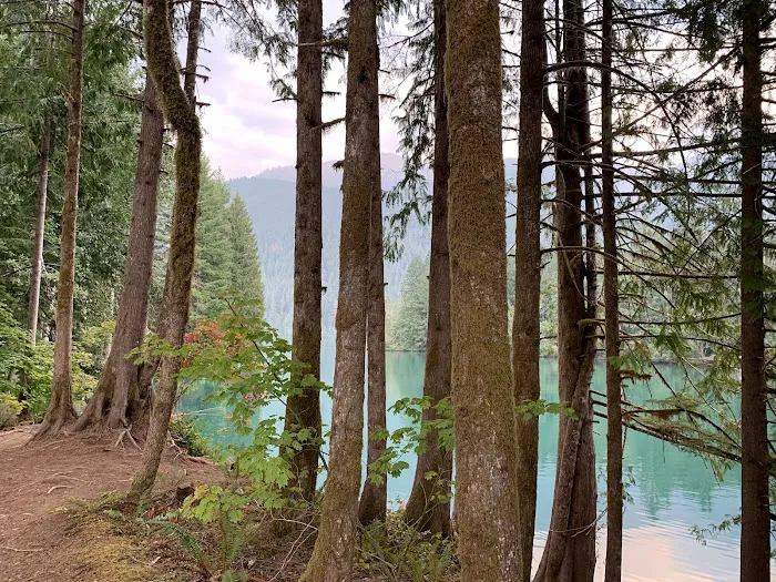 Bayview North Campground 8