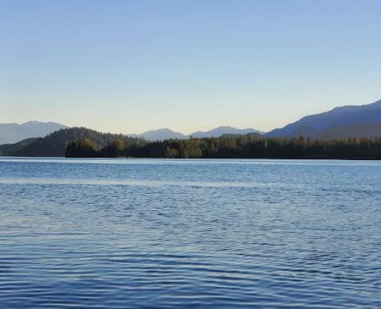 Maple Grove Campground