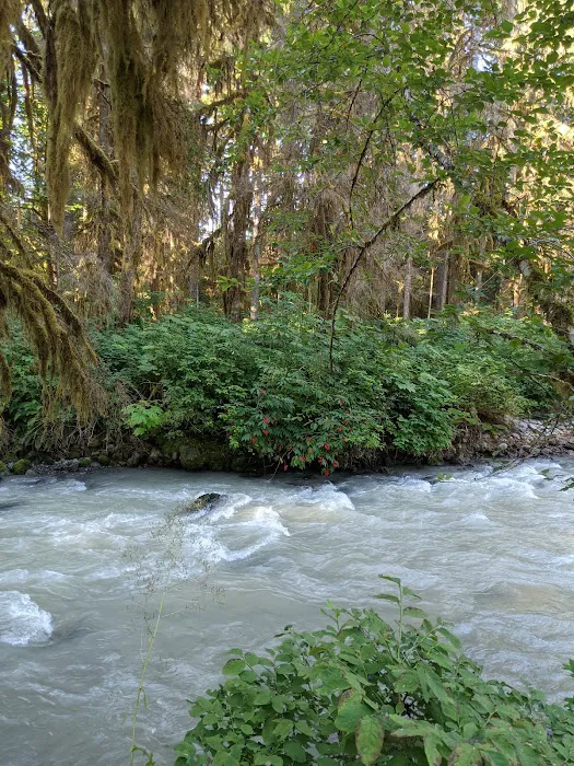 Park Creek Campground 3