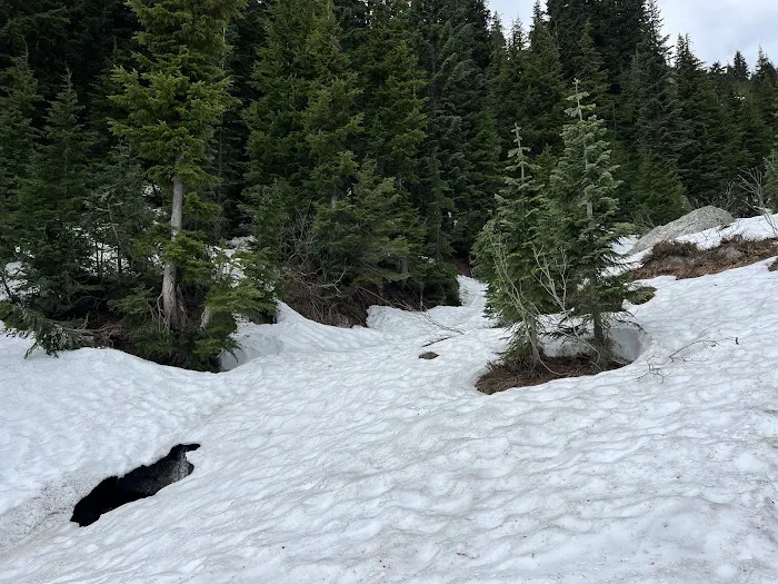 Sourdough Campground 1
