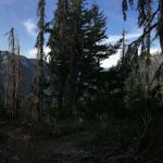 Sourdough Campground