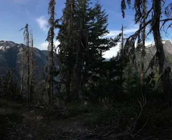Sourdough Campground