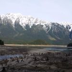 Pumpkin Mountain Campground