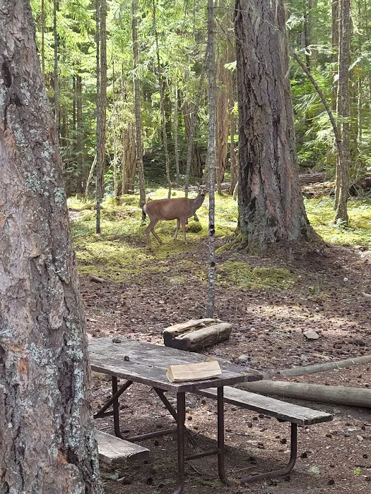 McMillan Campground 2