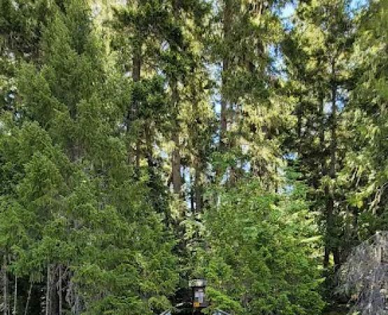 McMillan Campground