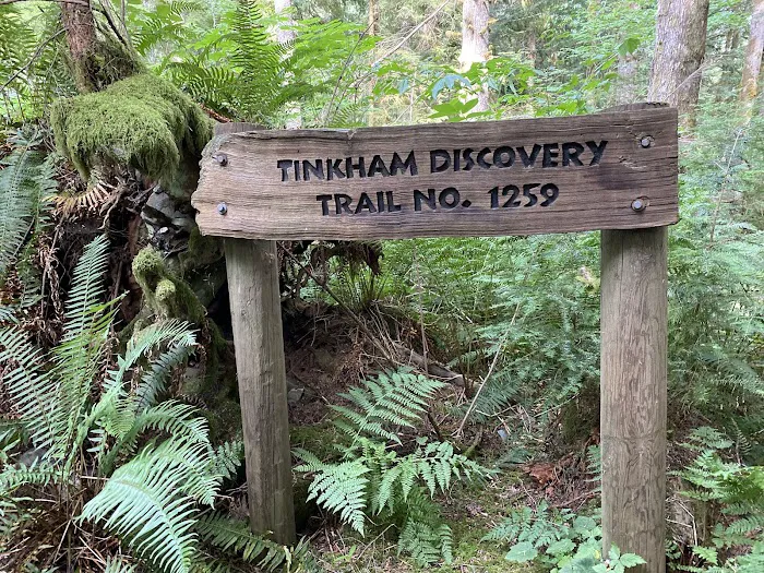 Tinkham Campground 8