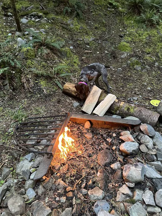 Tinkham Campground 5