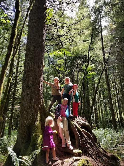 Tinkham Campground 9