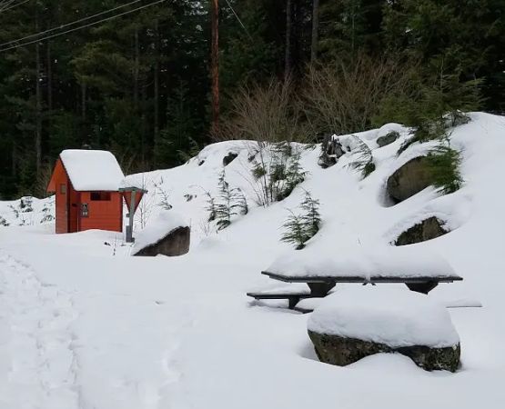 Alice Creek Campground