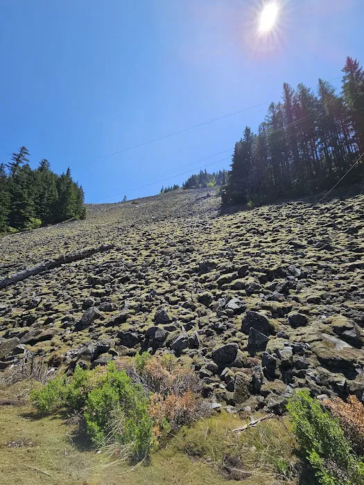 Alice Creek Campground 9