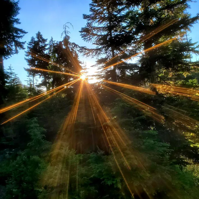 Kachess Campground 9