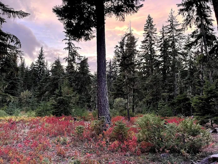 Kachess Campground 7