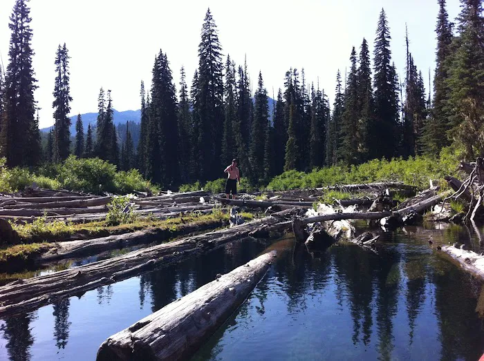 Owhi Campground 6