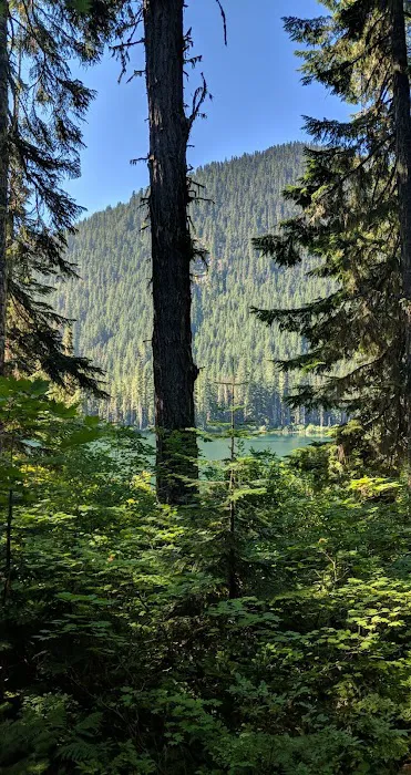 Owhi Campground 2