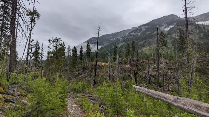 Waptus Lake Campsites 1