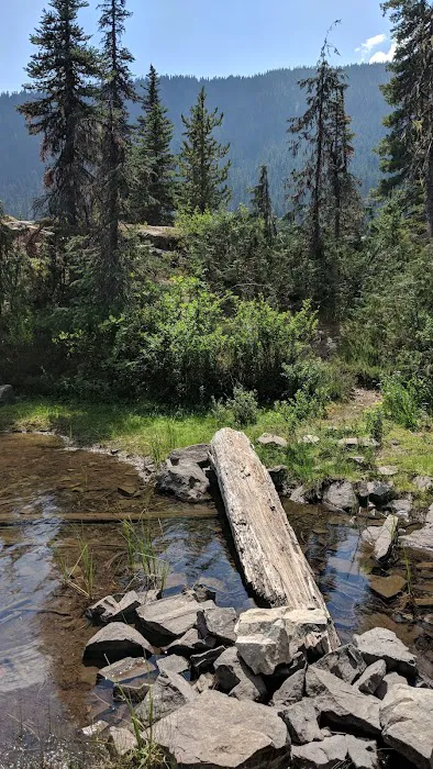 Waptus Lake Campsites 6
