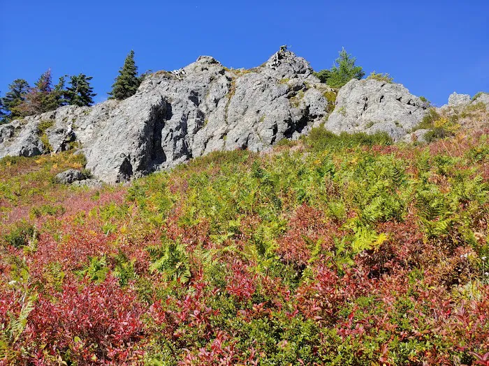 French Cabin Creek Recreation Area 5