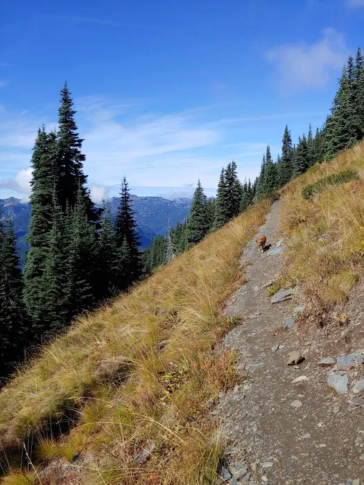 French Cabin Creek Recreation Area 6
