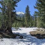 Salmon La Sac Campground