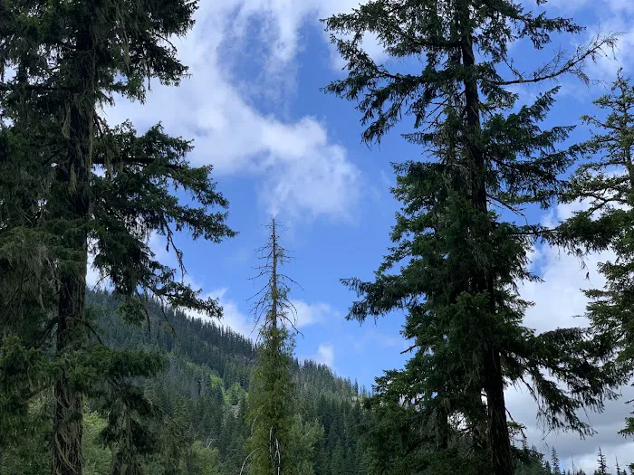Red Mountain Campground 3