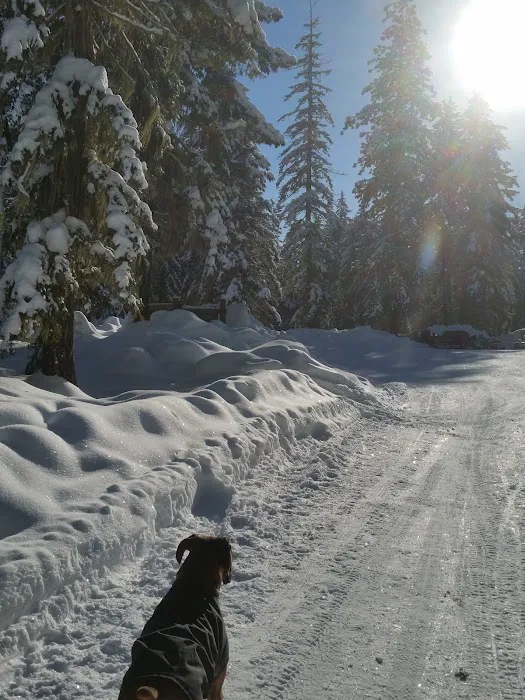 Cle Elum River Group Site 9