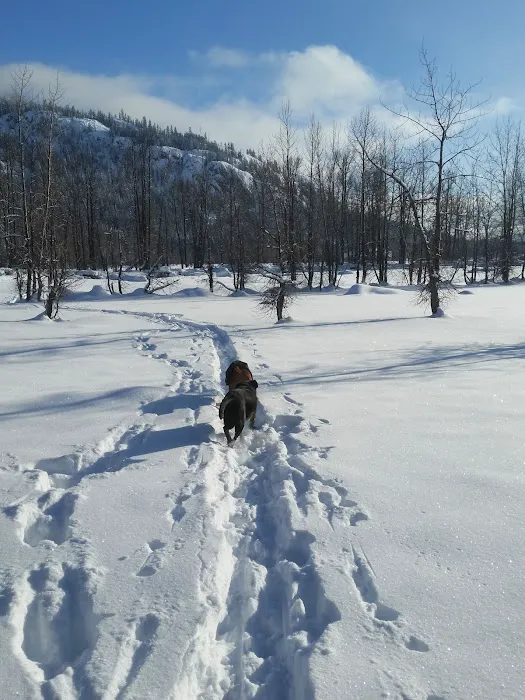 Cle Elum River Group Site 8