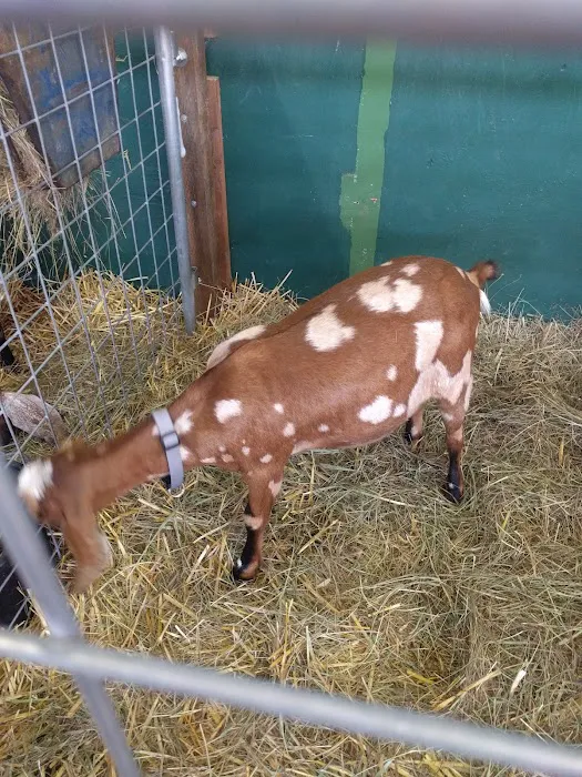 Jefferson County Fairgrounds 9