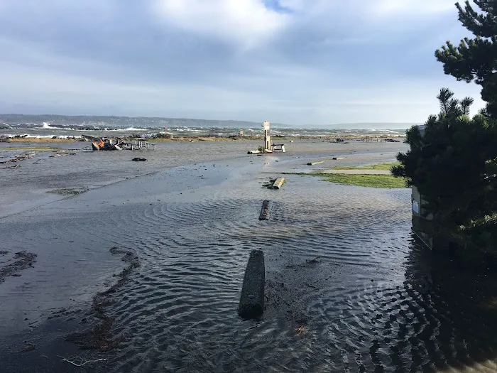 Fort Casey Campground 0
