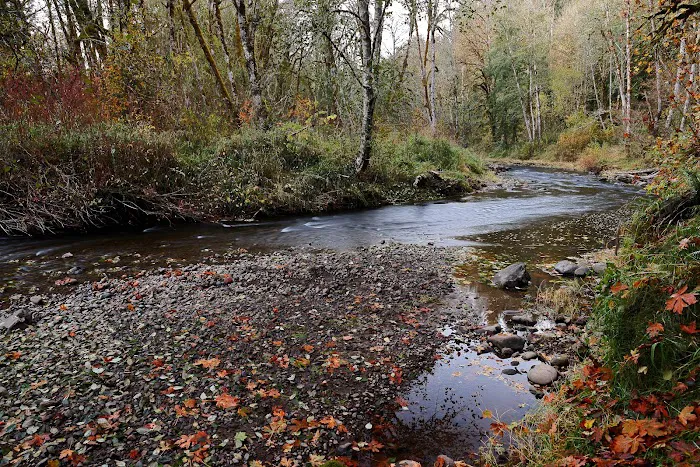 Winston Creek Campground 2