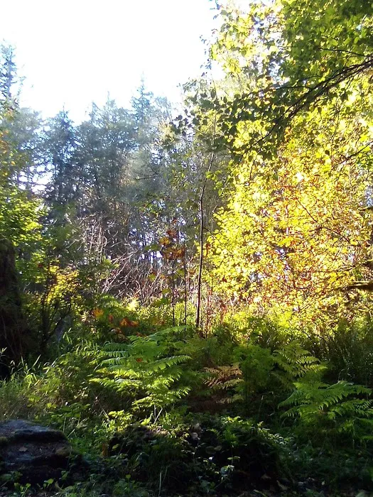 Winston Creek Campground 4