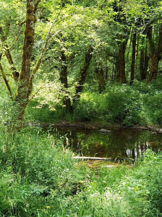 Winston Creek Campground 6