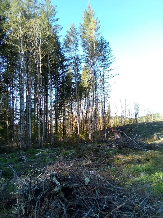 Winston Creek Campground 9