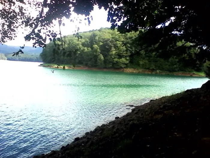 Riffe Lake Campground 1
