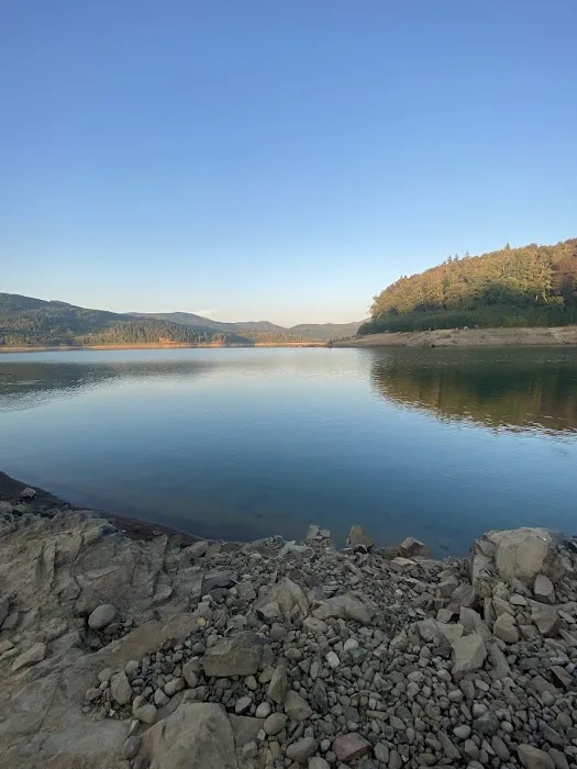 Riffe Lake Campground 6