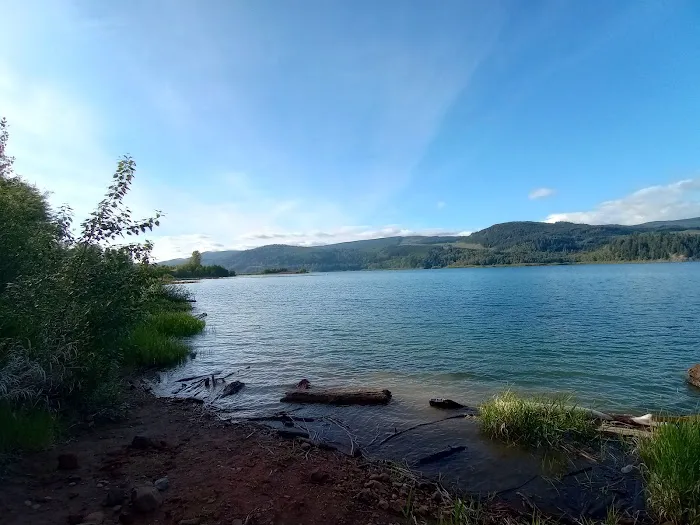 Riffe Lake Campground 9